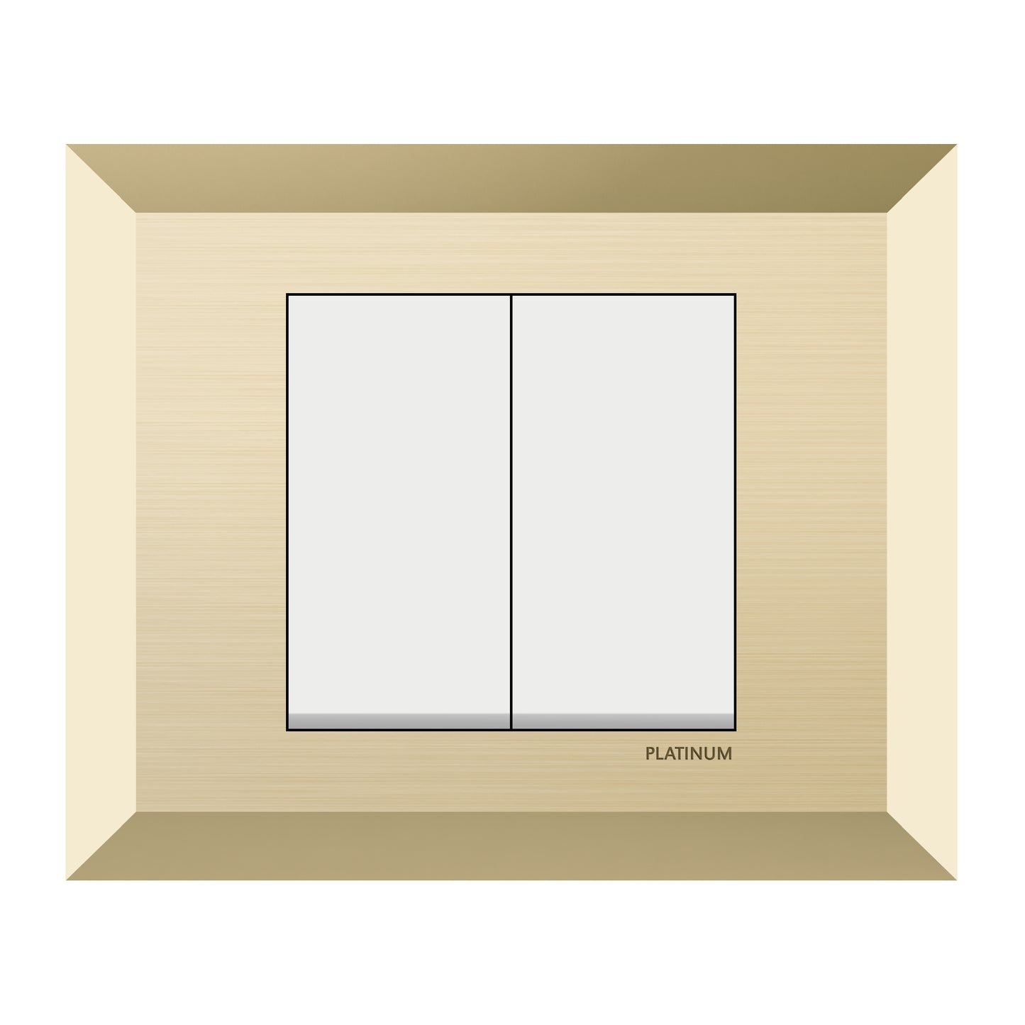 2 Gang 1 Way Switch with Plate (Platinum Electrical Wiring Devices)