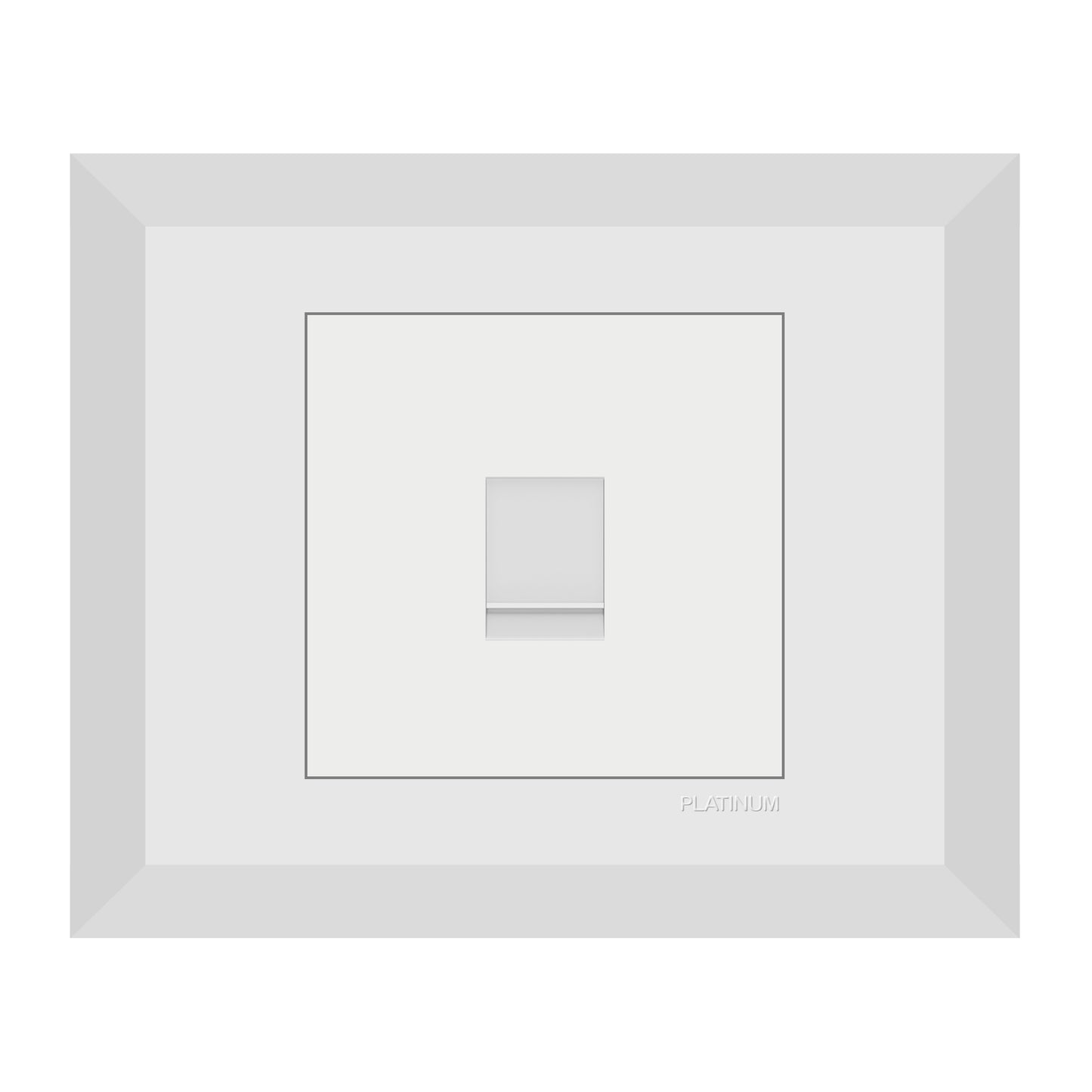 Computer Data Socket Cat5E with Plate (Platinum Electrical Wiring Devices)