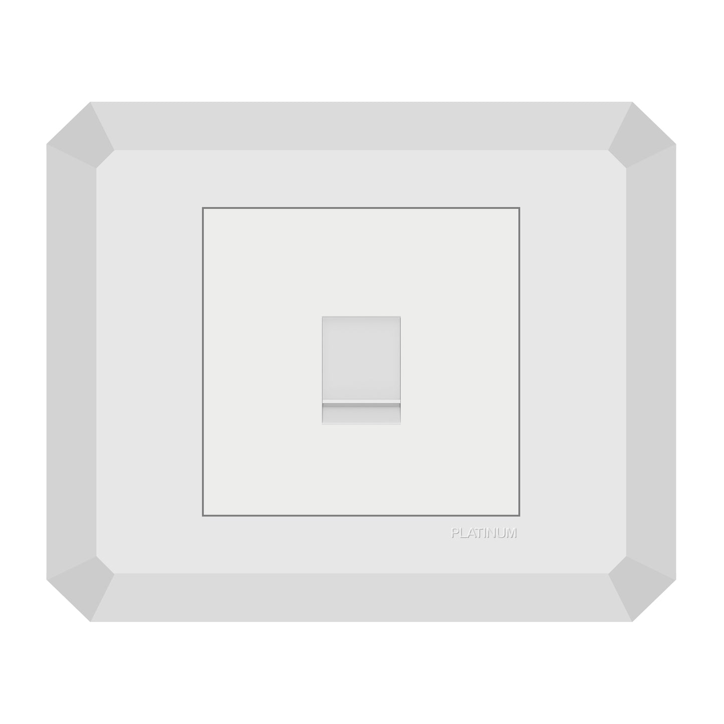 Computer Data Socket Cat5E with Plate (Platinum Electrical Wiring Devices)