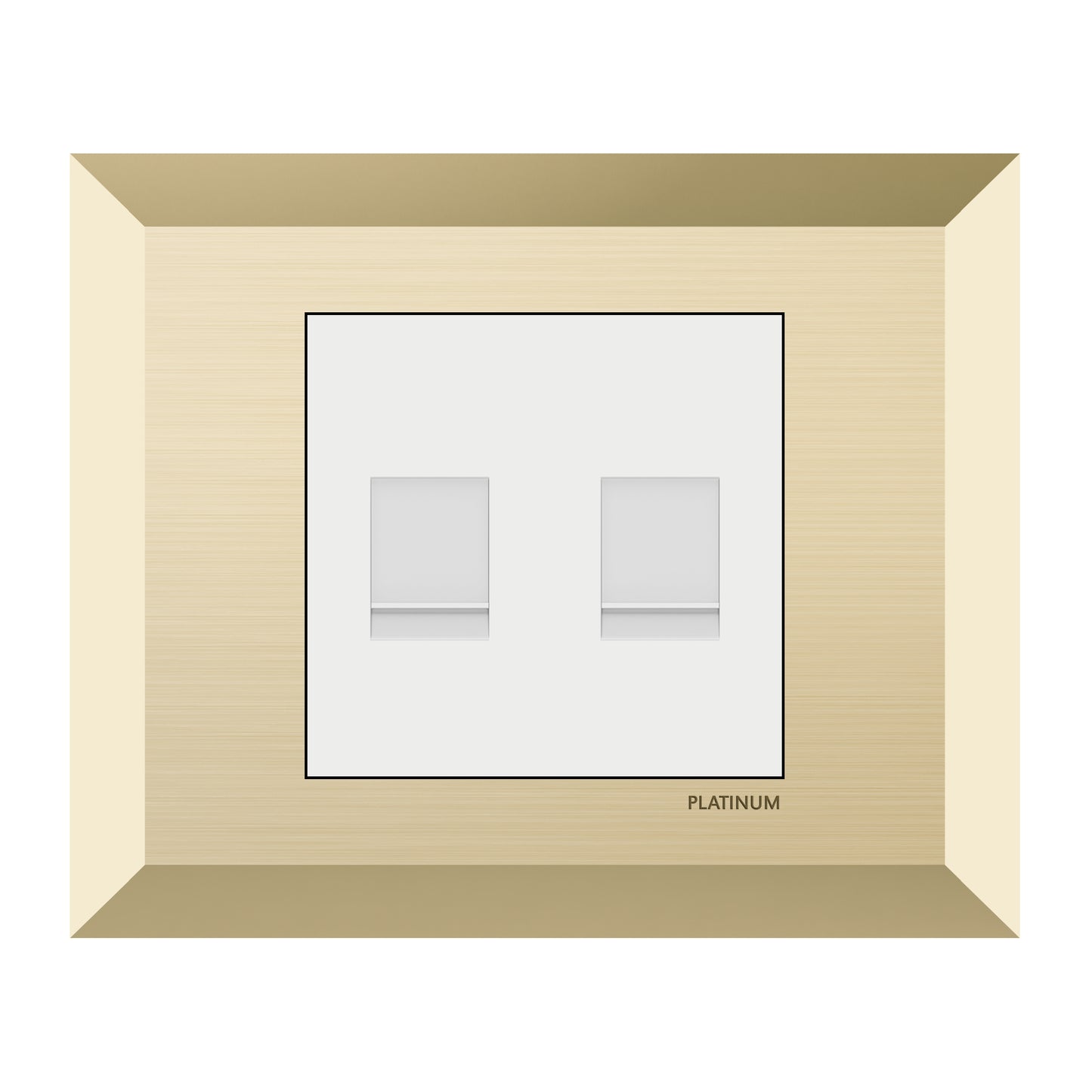 Double Computer Data Net Socket Cat5E with Plate (Platinum Electrical Wiring Devices