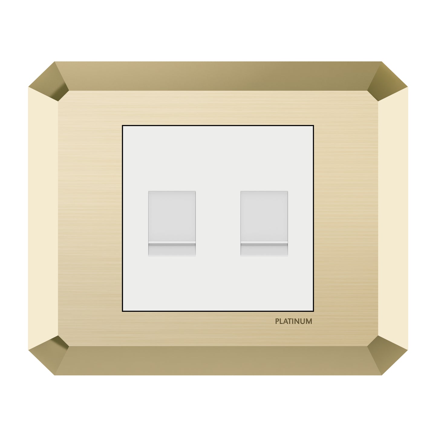 Double Computer Data Net Socket Cat5E with Plate (Platinum Electrical Wiring Devices