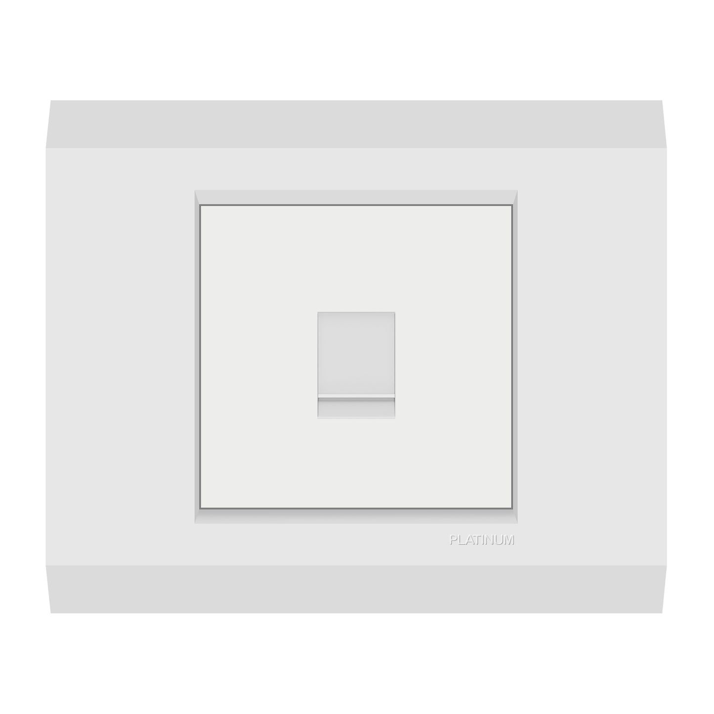 Computer Data Socket Cat5E with Plate (Platinum Electrical Wiring Devices)