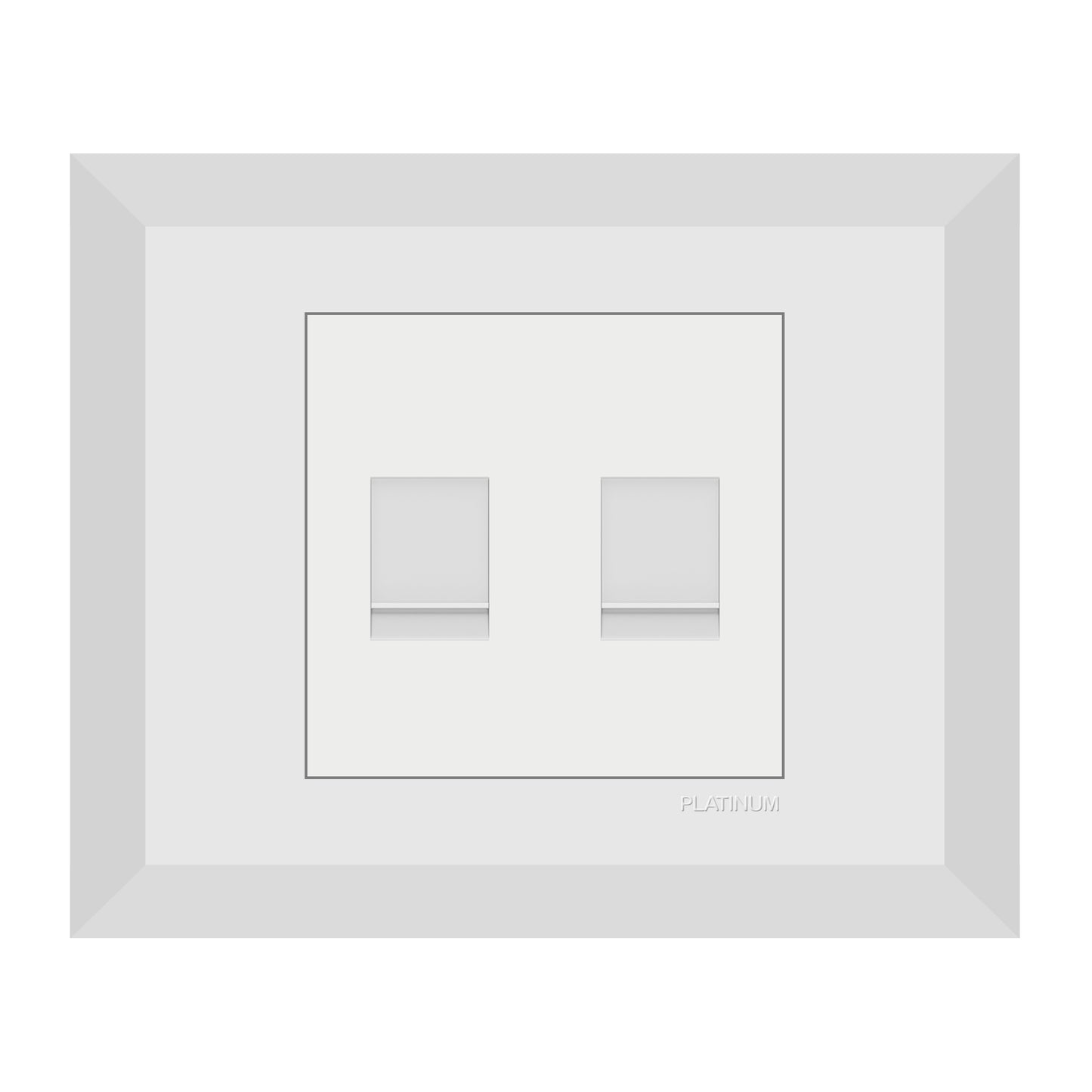 Double Computer Data Net Socket Cat5E with Plate (Platinum Electrical Wiring Devices