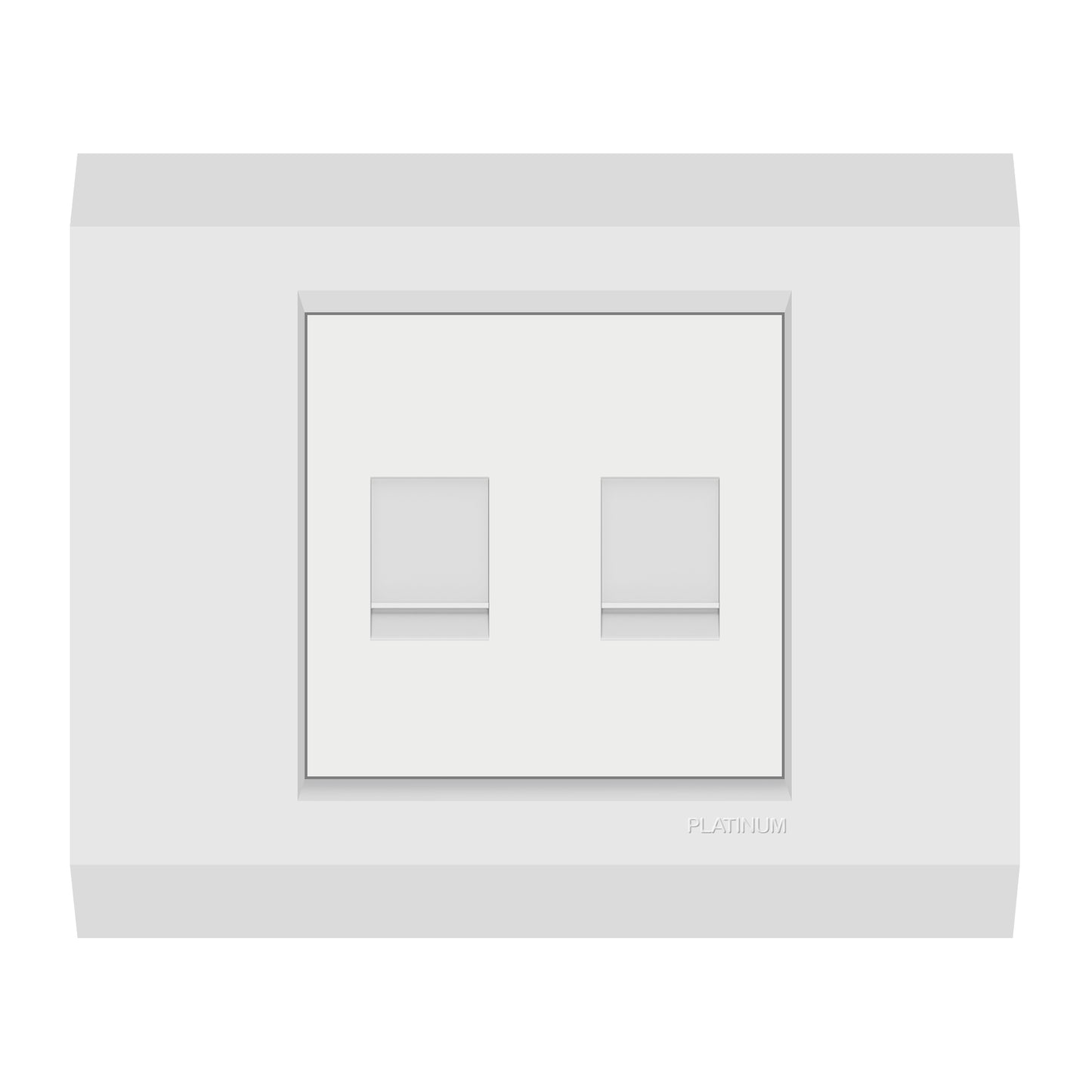 Double Computer Data Net Socket Cat5E with Plate (Platinum Electrical Wiring Devices