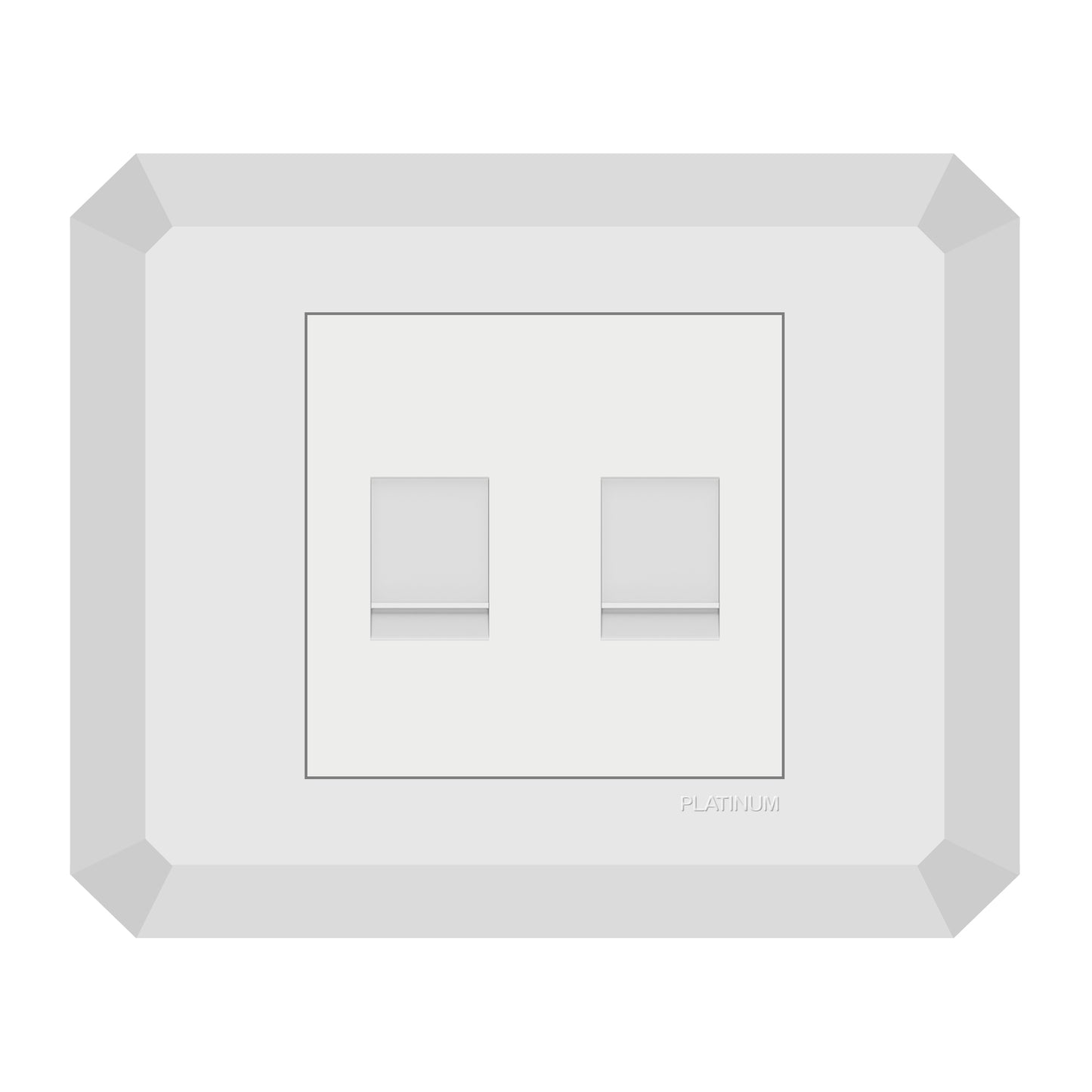 Double Computer Data Net Socket Cat5E with Plate (Platinum Electrical Wiring Devices