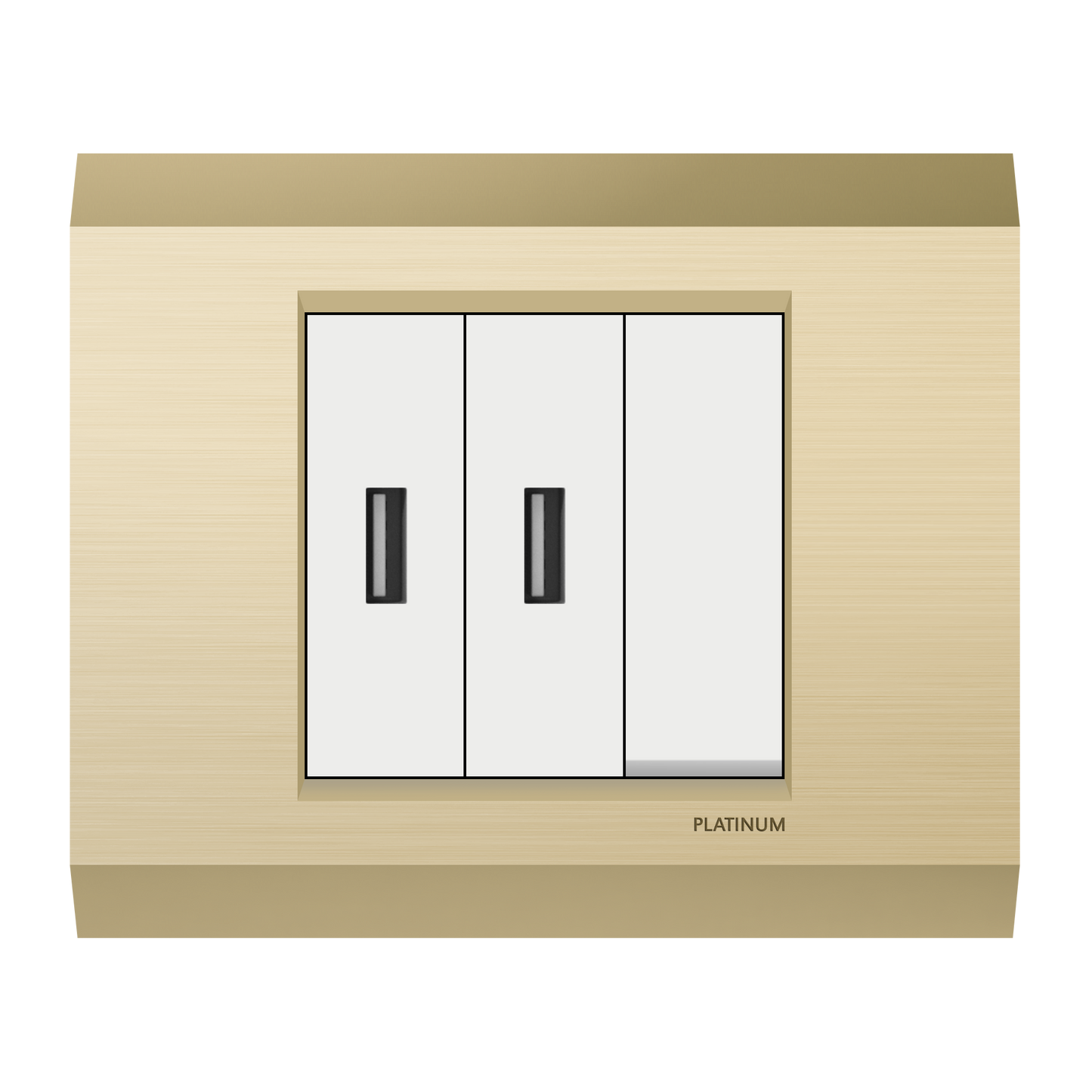Double USB Socket Phone Charger Power Adapter with Switch and Plate (Platinum Electrical Wiring Devices)
