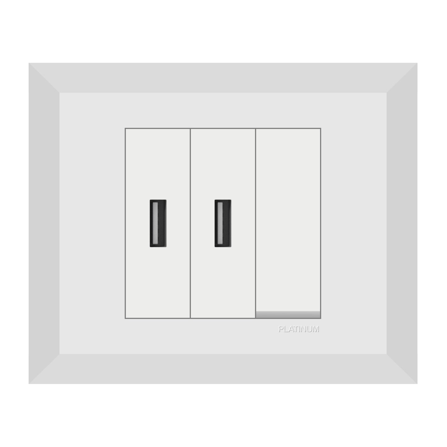 Double USB Socket Phone Charger Power Adapter with Switch and Plate (Platinum Electrical Wiring Devices)