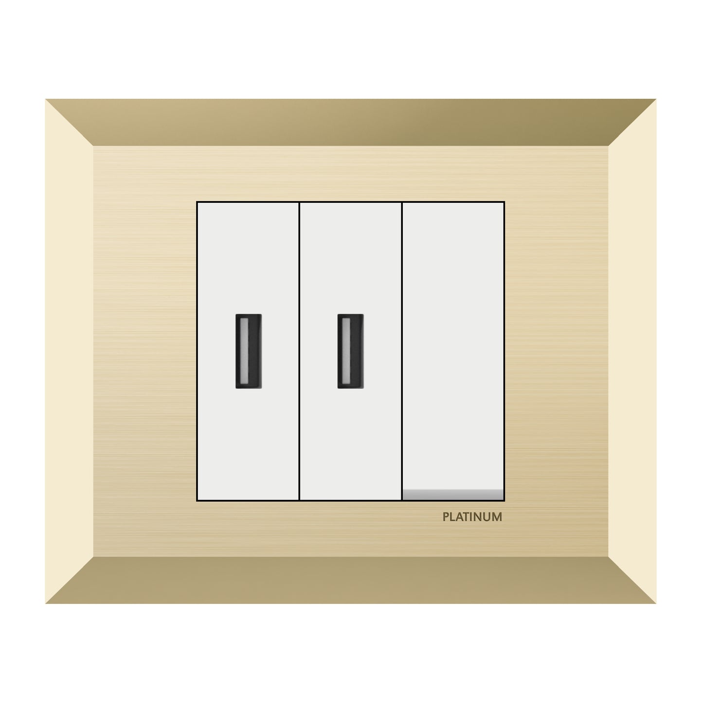 Double USB Socket Phone Charger Power Adapter with Switch and Plate (Platinum Electrical Wiring Devices)