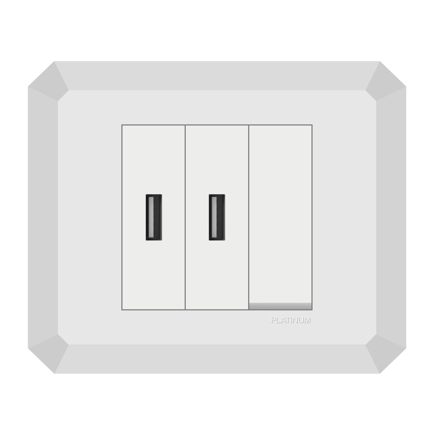 Double USB Socket Phone Charger Power Adapter with Switch and Plate (Platinum Electrical Wiring Devices)