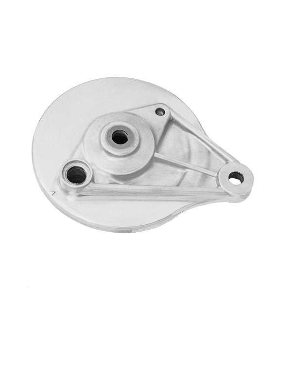 Rear Brake Shoe Plate